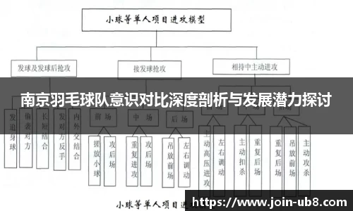 南京羽毛球队意识对比深度剖析与发展潜力探讨